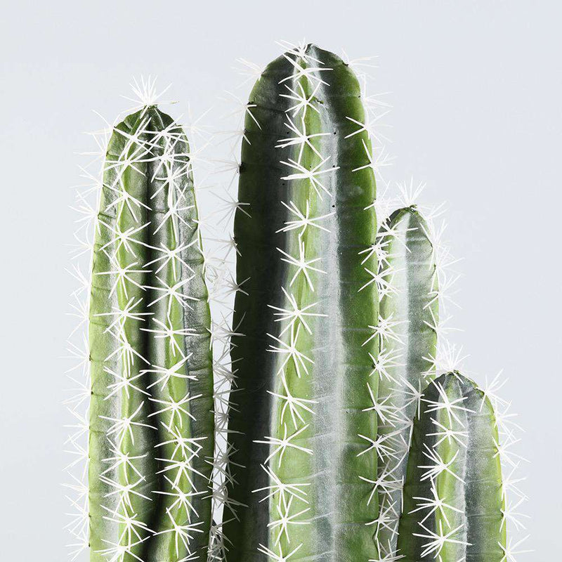 Artifloral Künstliche Kaktus-Pflanzen-Set mit Weißen Keramik
