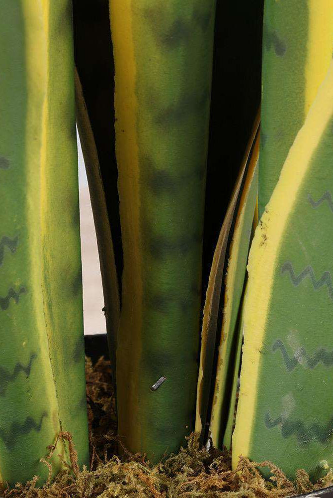 ZORA Artificial Snake Sansevieria Yellow And Green Potted Plant 30'' ArtiPlanto