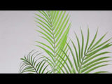 Jule Artificial Areca Palmera Planta en maceta 5 pies (152 cm)