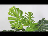 Tera Monstera Artificial Potted Plant 3.6 ft (110cm)