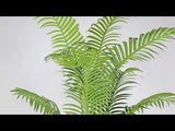 Xelo Künstliche Hawaii-Kwai-Palme, Topfpflanze, 1,5 m (mehrere Größen)