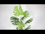 Plantă în ghiveci Monstera artificială Rita 5,5 picioare (170 cm)