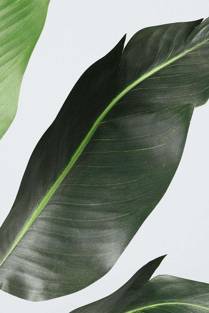 LOLA Artificial Bird Of Paradise Potted Plant 3' Potted Artificial Plant ArtiPlanto 